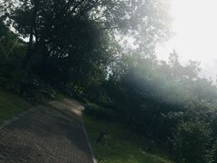 -白塘生态植物园