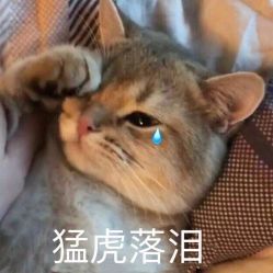 -越域刺青