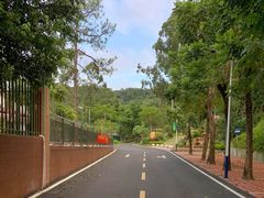 -火炉山森林公园