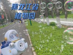-黑龙江省森林植物园