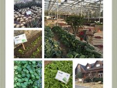 -上海多利农业发展有限公司