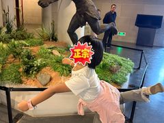 -北京周口店北京人遗址博物馆