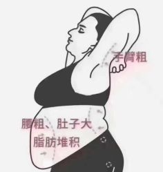 -Fundi张玉珊修身堂·indiba·BTL科技瘦身