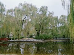 -玲珑塔公园