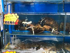 -蚝专家(北滘店)