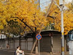 -知春路(地铁站)