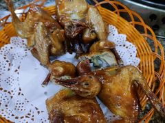 -皇鸽餐厅(五桂山分店)