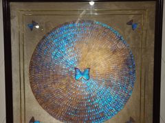 -上海昆虫博物馆