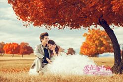 -施华洛婚纱摄影会所(范阳中路店)