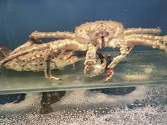 -百富源·海鲜辽菜(浑河堡店)