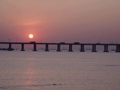 -宝安西湾红树林湿地公园