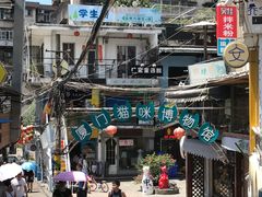 -猫咪博物馆(顶澳仔猫街店)