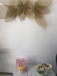 -YESIDO椰岛造型