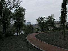 -眉山湿地公园(东坡区)