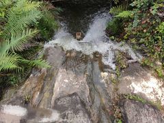 -梧桐山风景名胜区