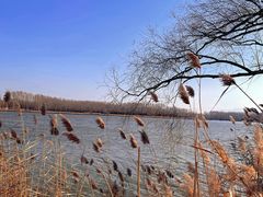 -野鸭湖国家湿地公园