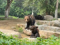 -北京野生动物园