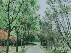 -龙华烈士纪念馆-停车场