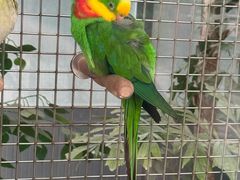 -南宫五洲植物乐园