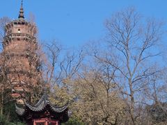 -宝通禅寺
