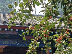 -承恩寺