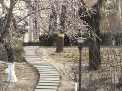 -元大都城垣遗址公园