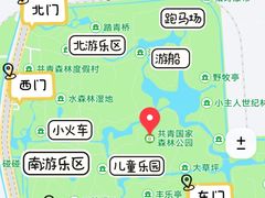 -上海共青森林公园