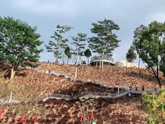 -白石龙音乐公园