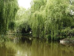 -郑州植物园