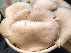 平菇-纸盐河码头火锅(十八梯店)