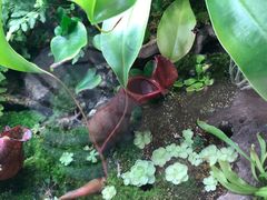 -UCCA Kids 儿童美育