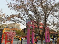 -新天地活力PARK