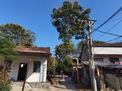 -青龙山国家森林公园
