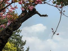 -黔灵山公园