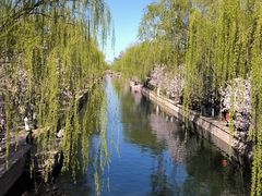 -元大都城垣遗址公园