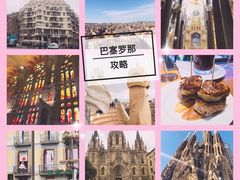 -巴塞罗那主教座堂