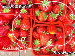 -甜心庄园·甜心草莓采摘园(西青中北店)