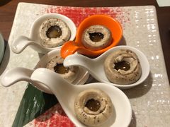 -黑松白鹿(崇文门新活馆店)