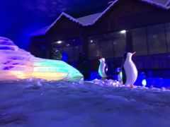 -世界之窗阿尔卑斯冰雪世界