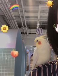 -Moni星球萌宠·小马宝莉·灵蛇·高端高阶全萌宠互动体验俱乐部(红豆国际广场店)
