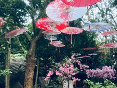 -海口观澜湖火山温泉谷