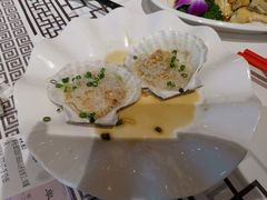 蒜蓉粉丝蒸元贝-强记海鲜·大排档(蛇口新街店)