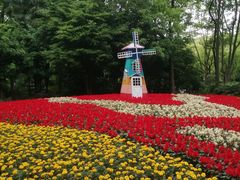 -上海共青森林公园