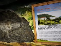 -青岛葡萄酒博物馆