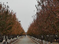 -北京益泉花园酒店