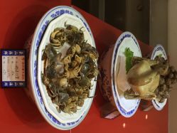 点击看大图 iphone_upload_pic-龙象盛宴大酒店·宴会厅