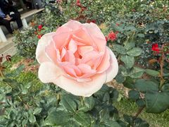 -人民公园(罗湖区)