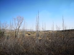 -赤峰宴宾楼(满洲里路店)