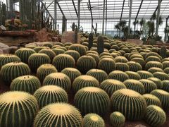 -南通洲际绿博园