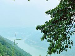 -铁山坪森林公园